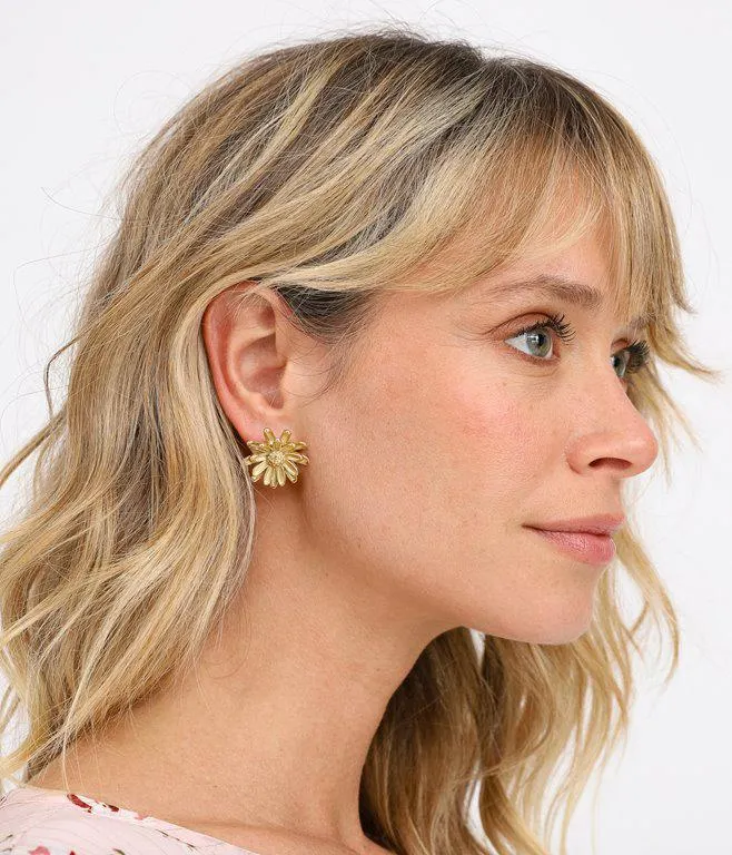 Boucles en acier inoxydable Julie