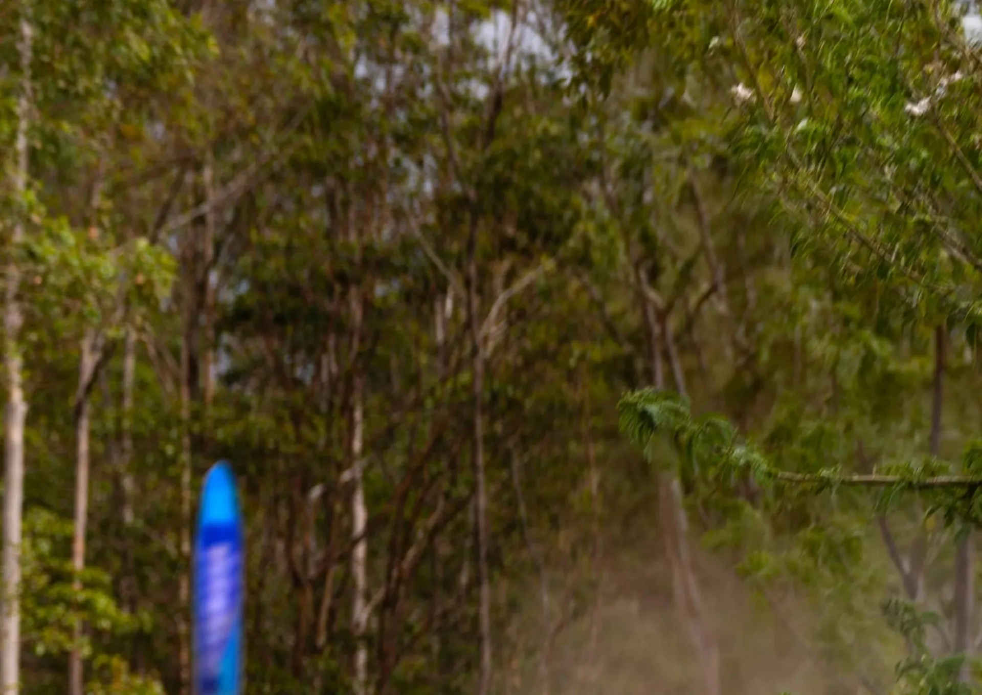 Catalogue Yamaha du 29 juillet au 3 janvier 2026 - Catalogue page 53