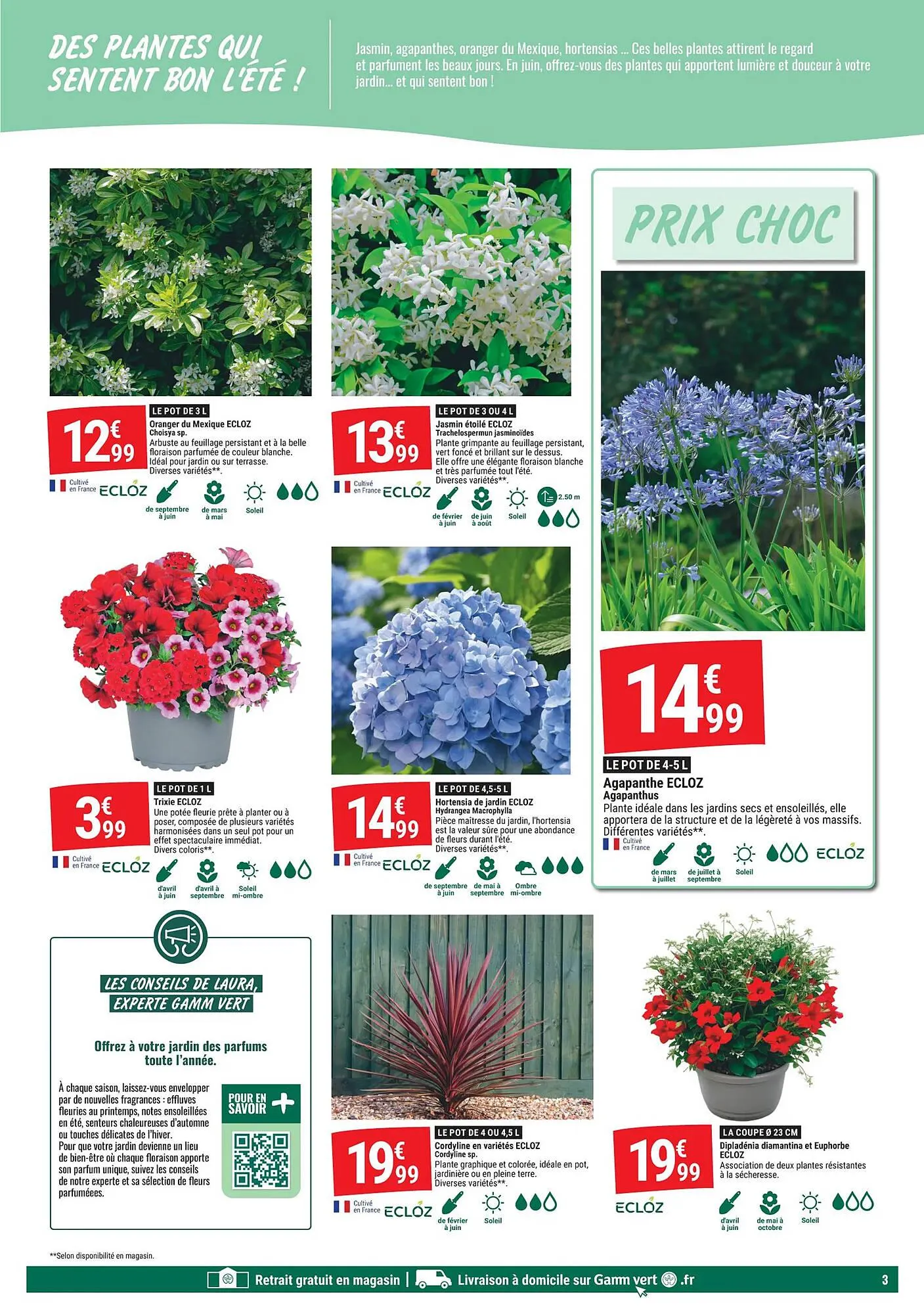 Catalogue Gamm vert du 27 mai au 7 juin 2026 - Catalogue page 3