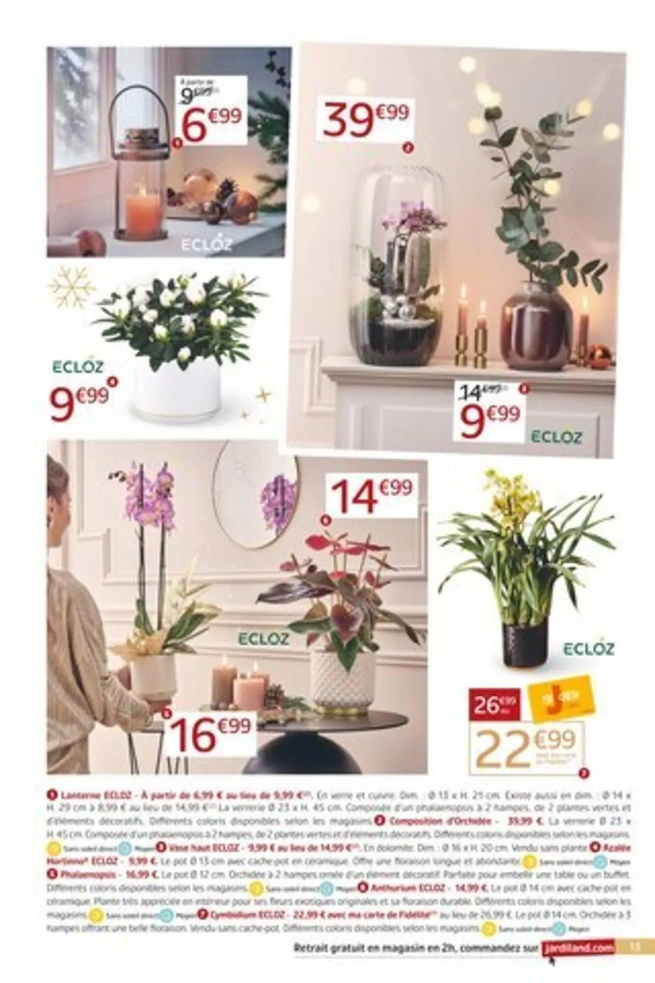 Catalogue Jardiland du 19 novembre au 7 décembre 2025 - Catalogue page 13