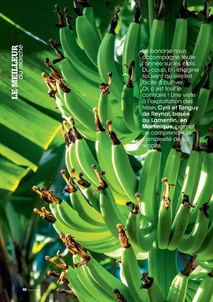 Hiver 2024 du 3 décembre au 20 mars 2025 - Catalogue page 40