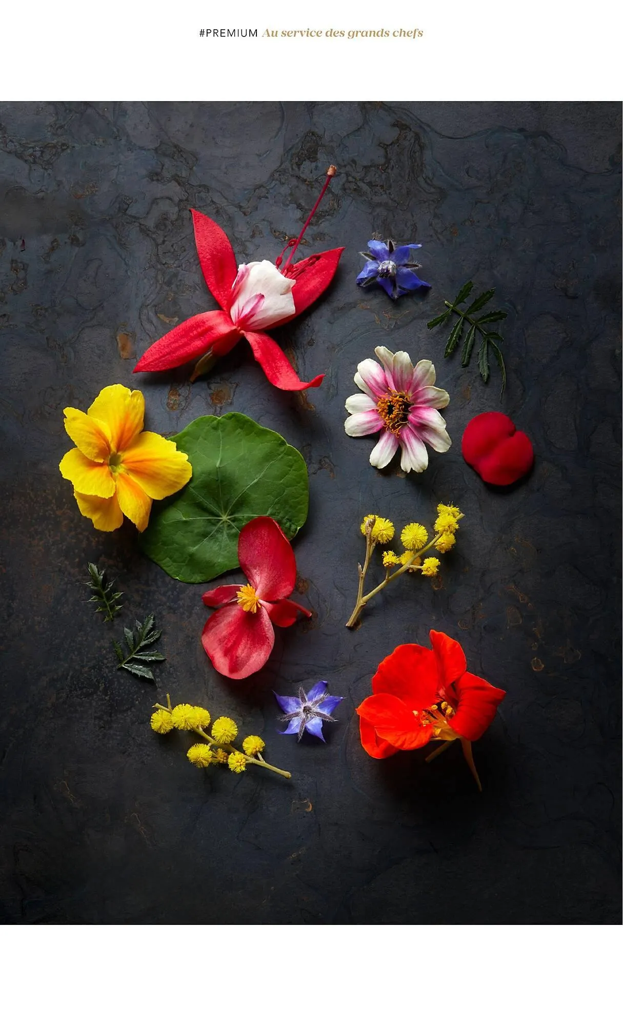 Catalogue METRO du 1 juillet au 31 décembre 2025 - Catalogue page 18