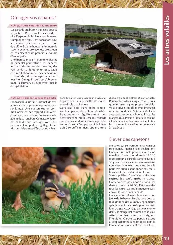 Le guide BASSE-COUR du 30 avril au 31 décembre 2025 - Catalogue page 19