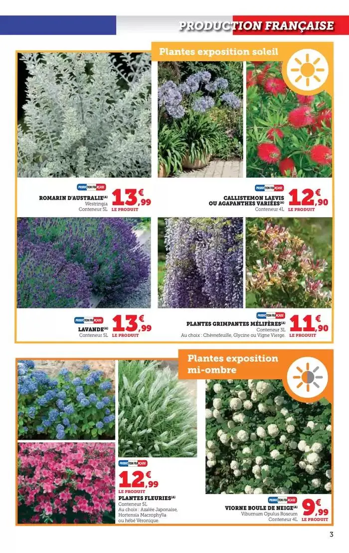 Spécial Jardin du 15 avril au 27 avril 2025 - Catalogue page 3
