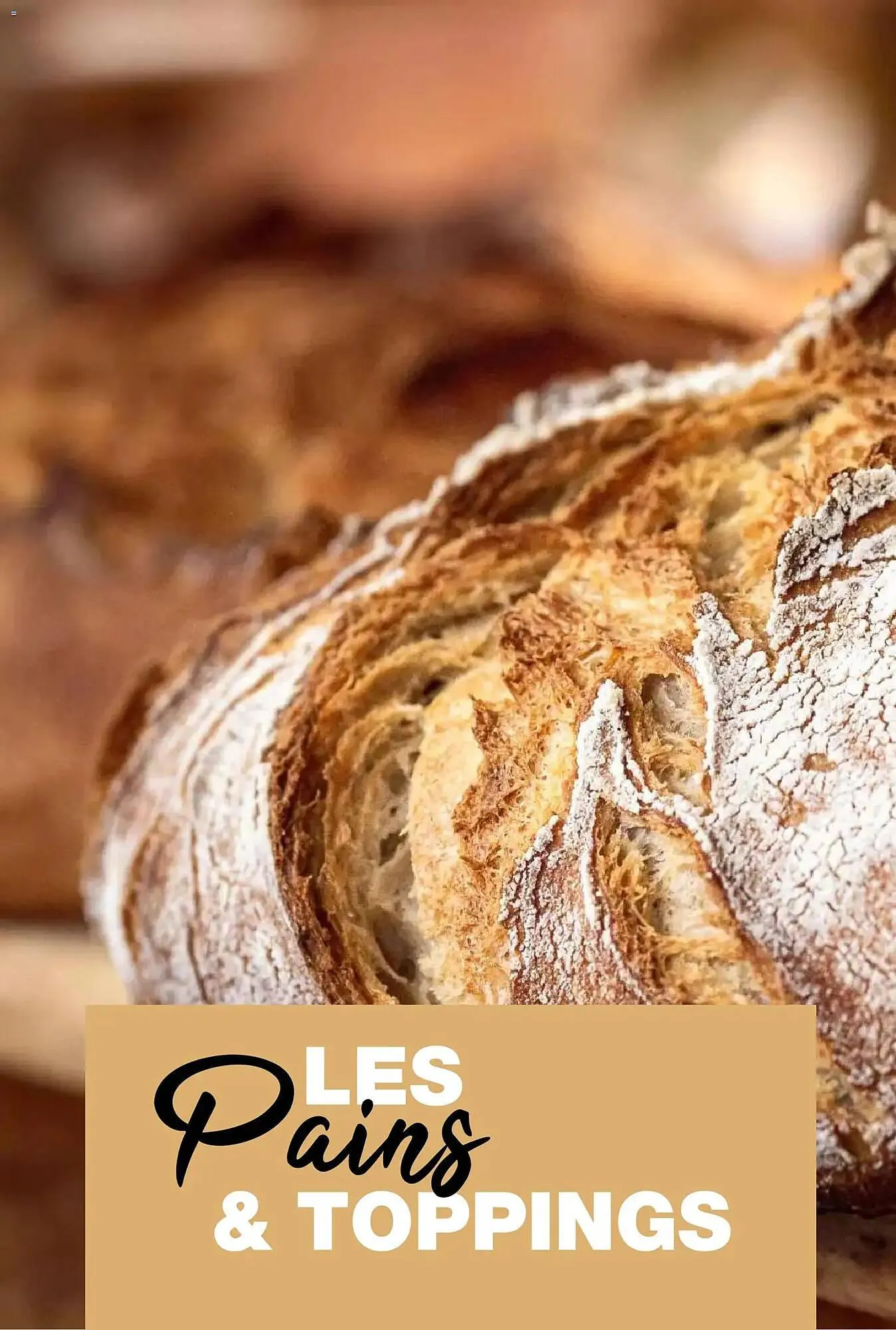 Catalogue Promocash du 19 novembre au 31 décembre 2025 - Catalogue page 47