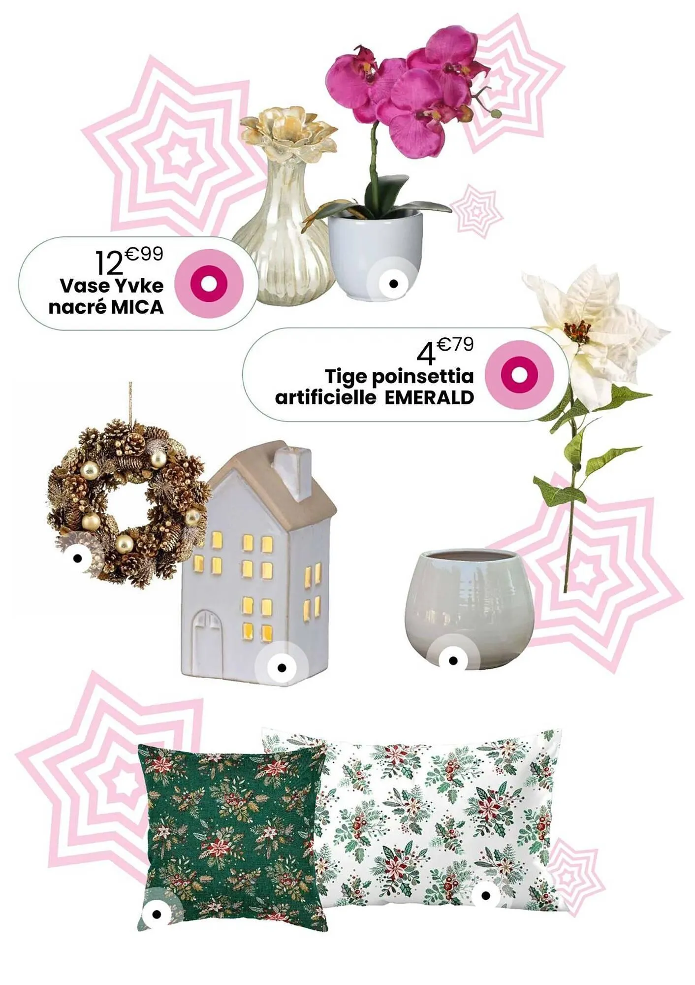 Catalogue Truffaut du 2 décembre au 31 décembre 2025 - Catalogue page 44