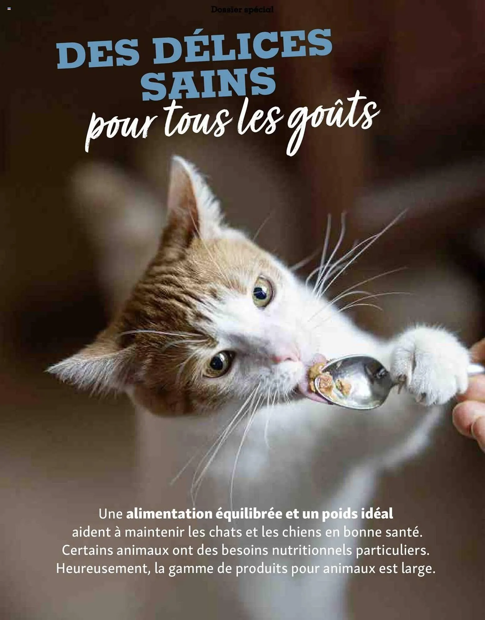 Catalogue Maxi Zoo du 1 septembre au 3 novembre 2024 - Catalogue page 16