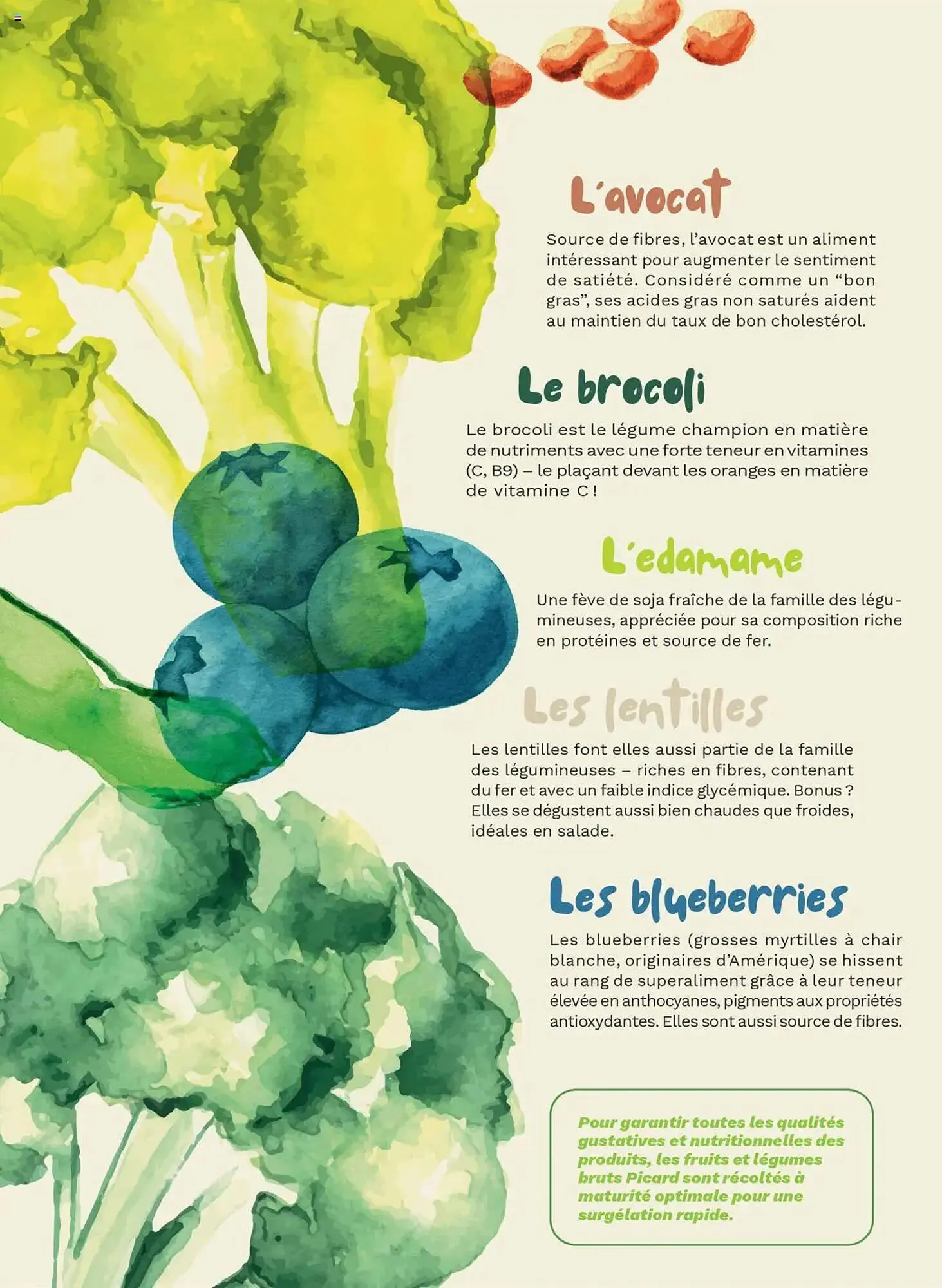 Catalogue Picard du 7 avril au 29 juin 2025 - Catalogue page 5