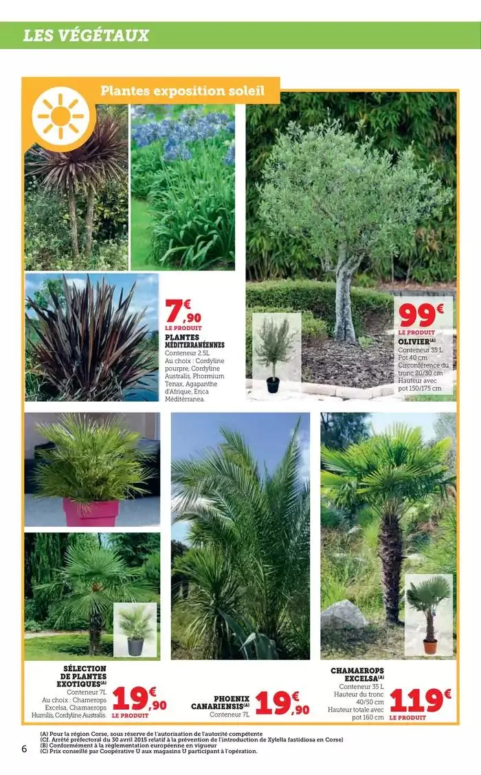 Spécial Jardin du 18 février au 16 mars 2025 - Catalogue page 6