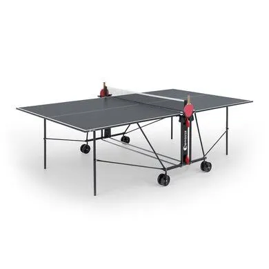 Table de Ping Pong S 1-39i interieure grise