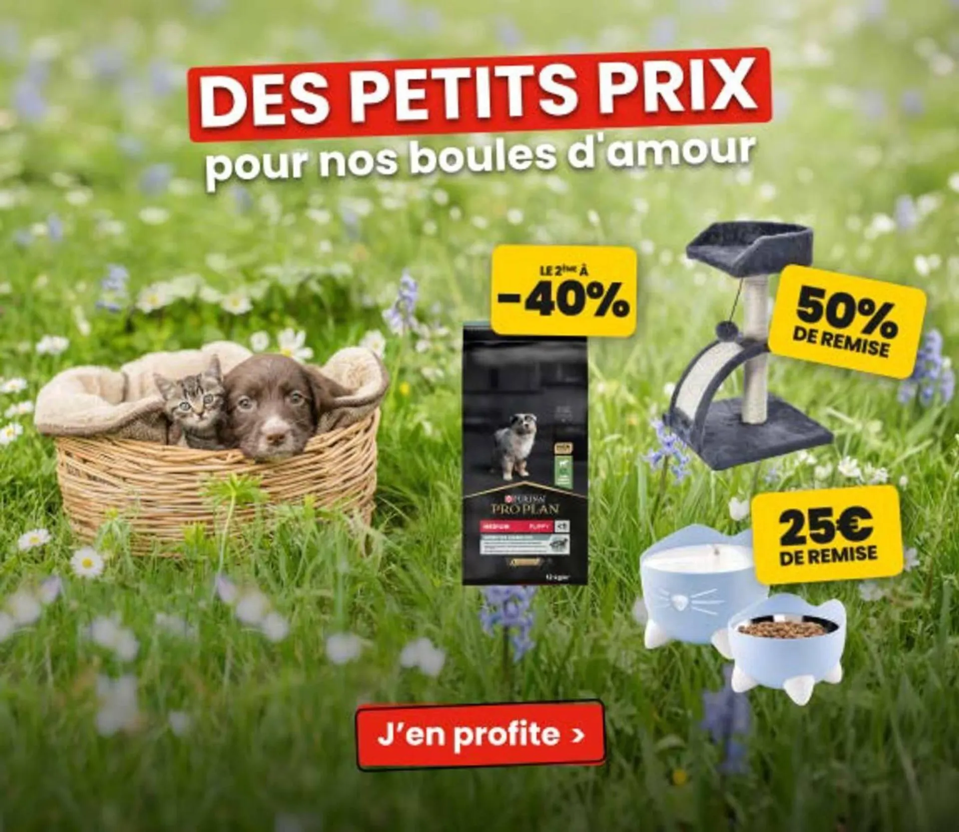 Catalogue Animalis du 31 mars au 19 avril 2026 - Catalogue page 2