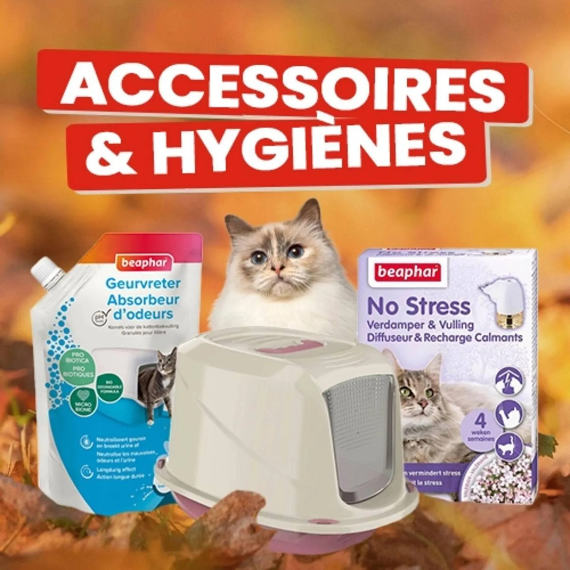 Catalogue Animalis du 5 novembre au 19 novembre 2025 - Catalogue page 3