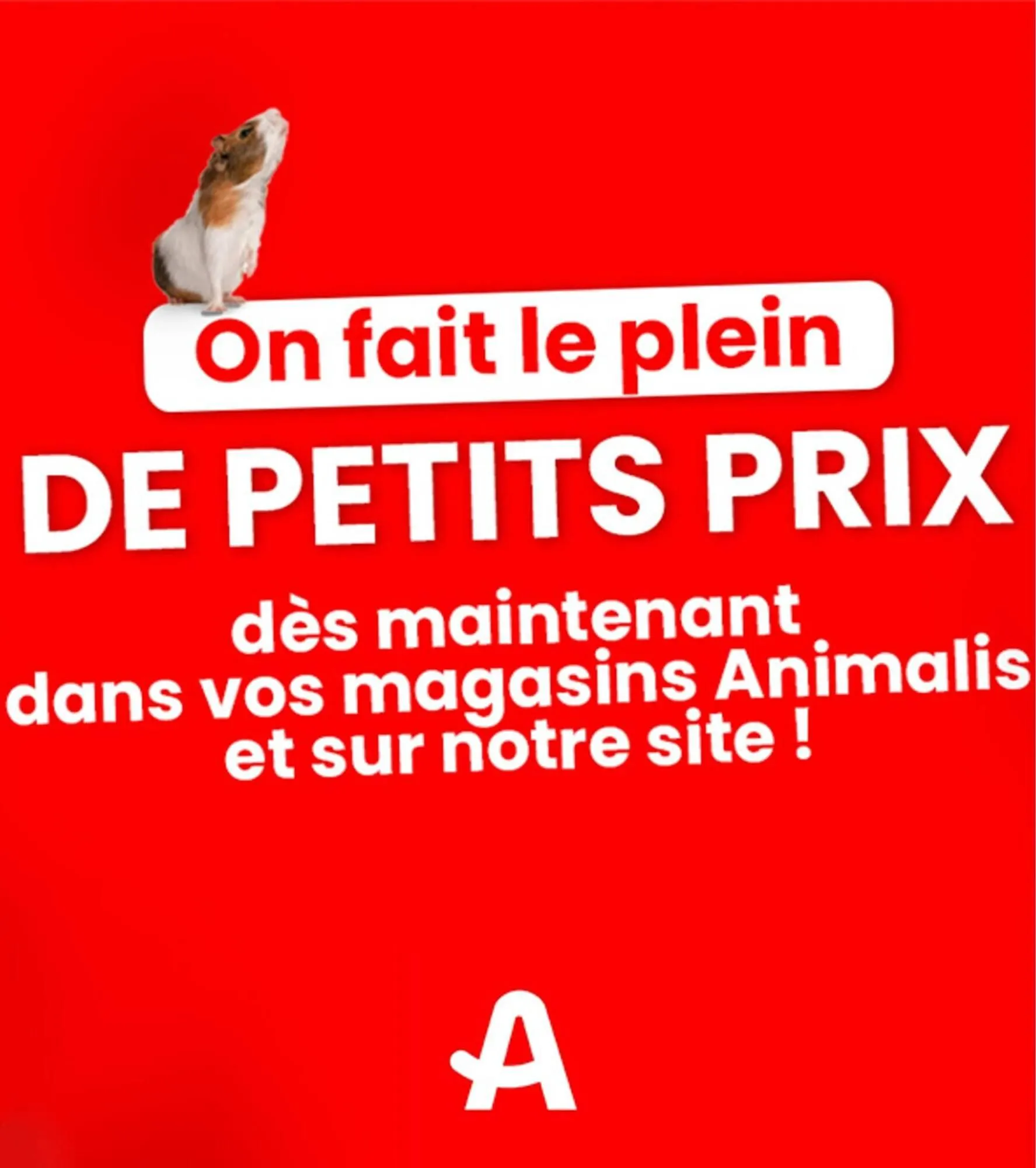 Catalogue Animalis - 1