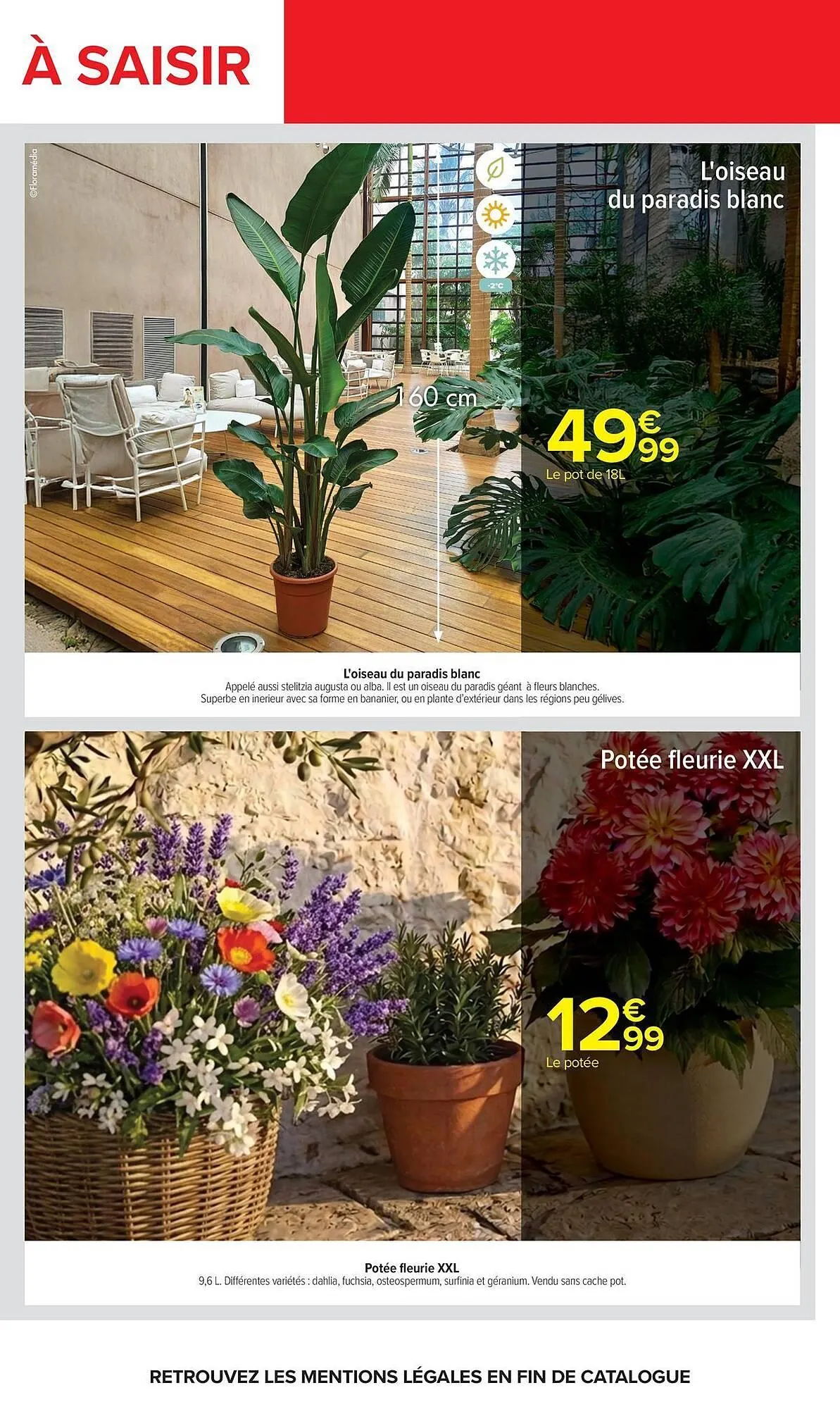 Catalogue Carrefour du 5 mai au 18 mai 2026 - Catalogue page 71