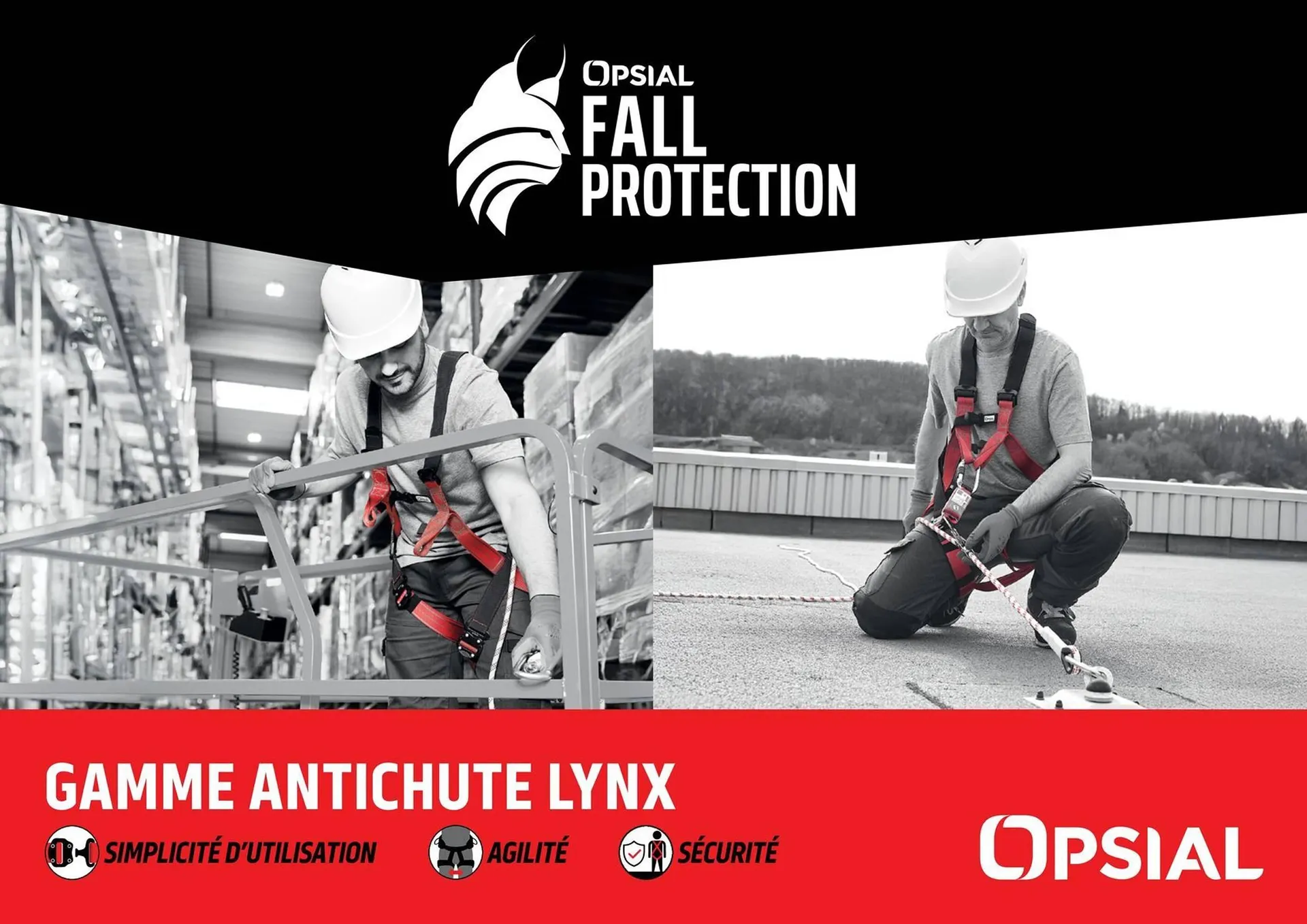 Catalogue Prolians - 1