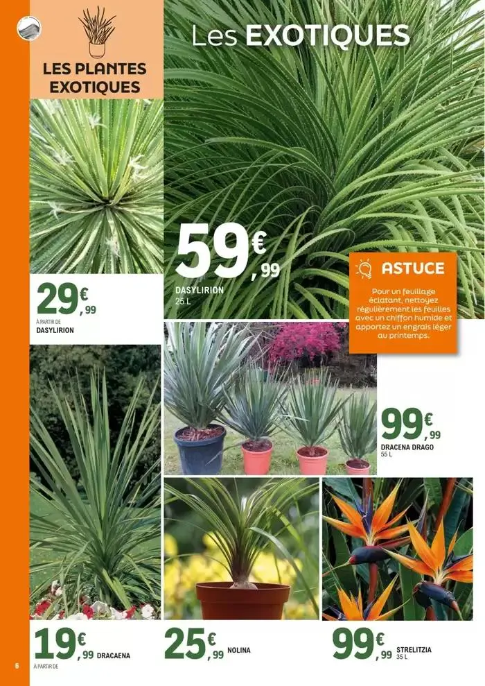 plantes méditerranéennes du 8 avril au 4 mai 2025 - Catalogue page 6