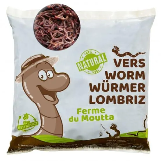250gr de Vers de compost / Lombric