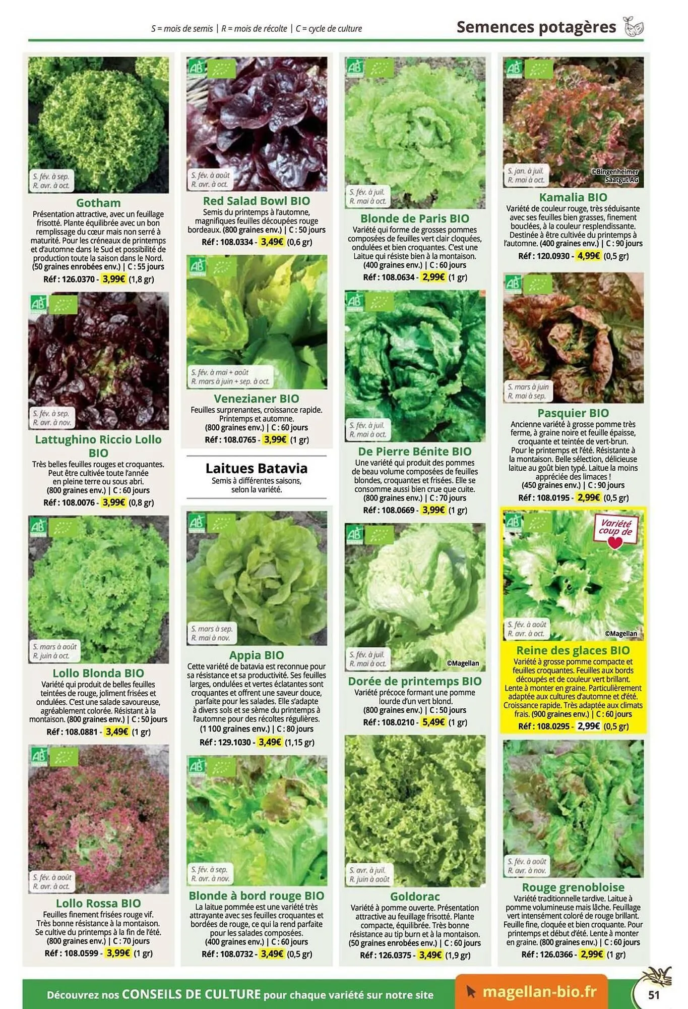 Catalogue Magellan du 16 décembre au 31 décembre 2025 - Catalogue page 51