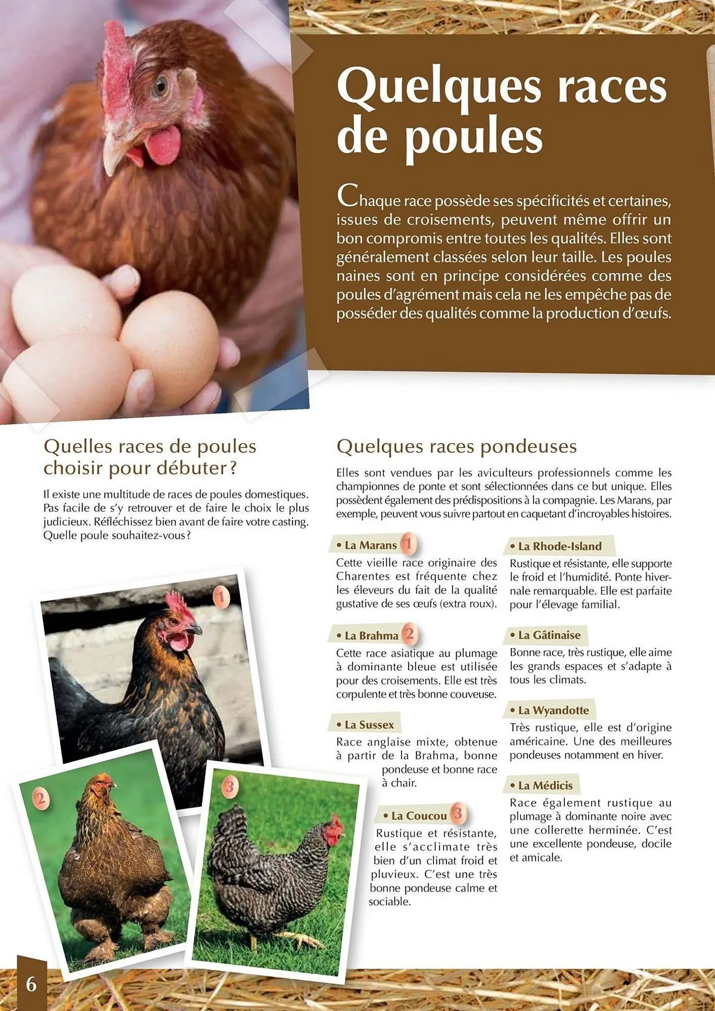 Catalogue Point Vert du 30 avril au 31 décembre 2025 - Catalogue page 6