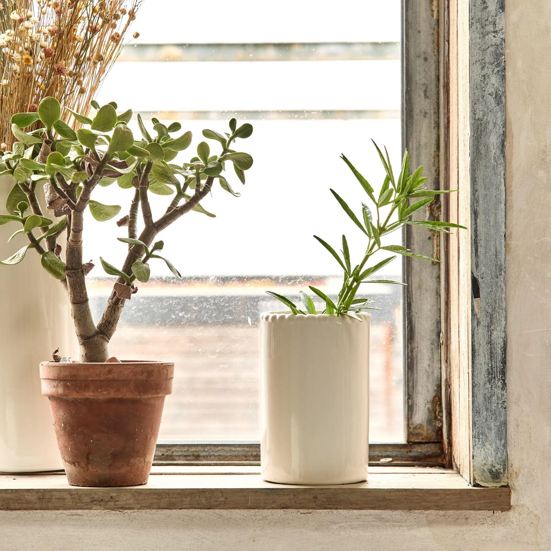 Vase tube en céramique H15cm - blanc