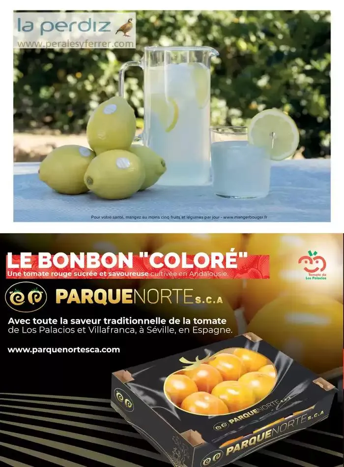 La main Verte du 12 mai au 31 décembre 2025 - Catalogue page 42