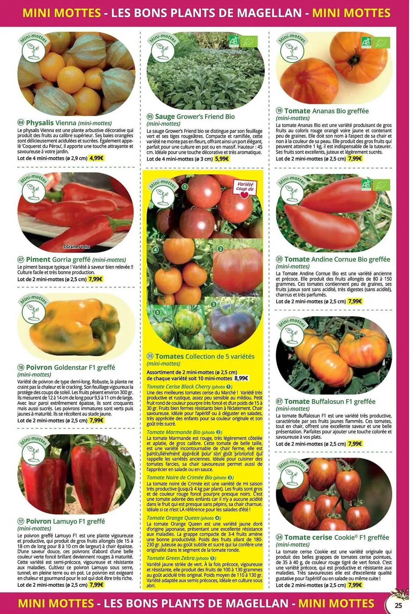 Catalogue Magellan du 16 décembre au 31 décembre 2025 - Catalogue page 25