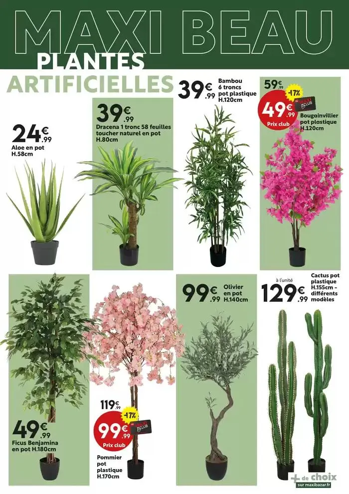 Mini prix du 18 février au 16 mars 2025 - Catalogue page 13