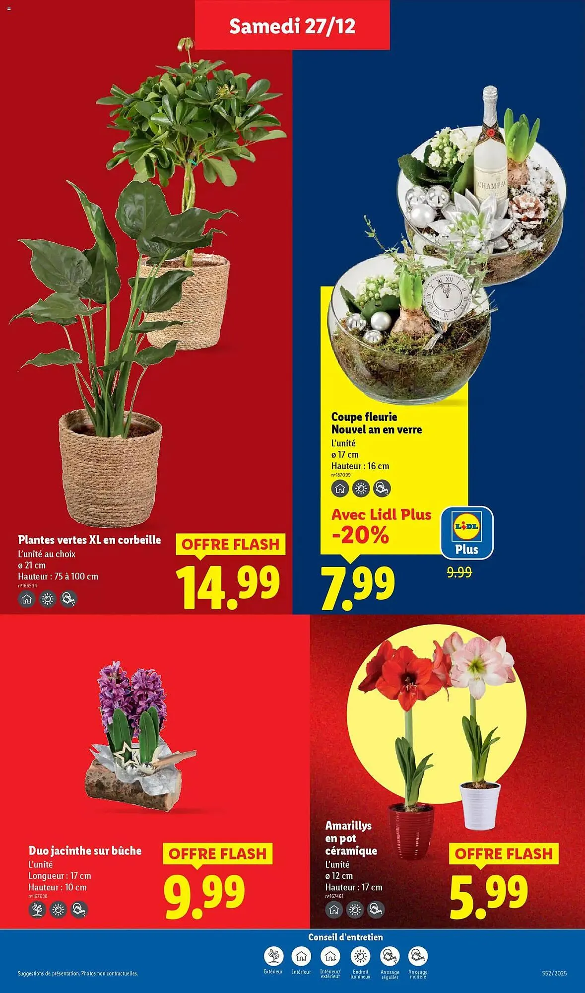 Catalogue Lidl du 27 décembre au 2 janvier 2026 - Catalogue page 31