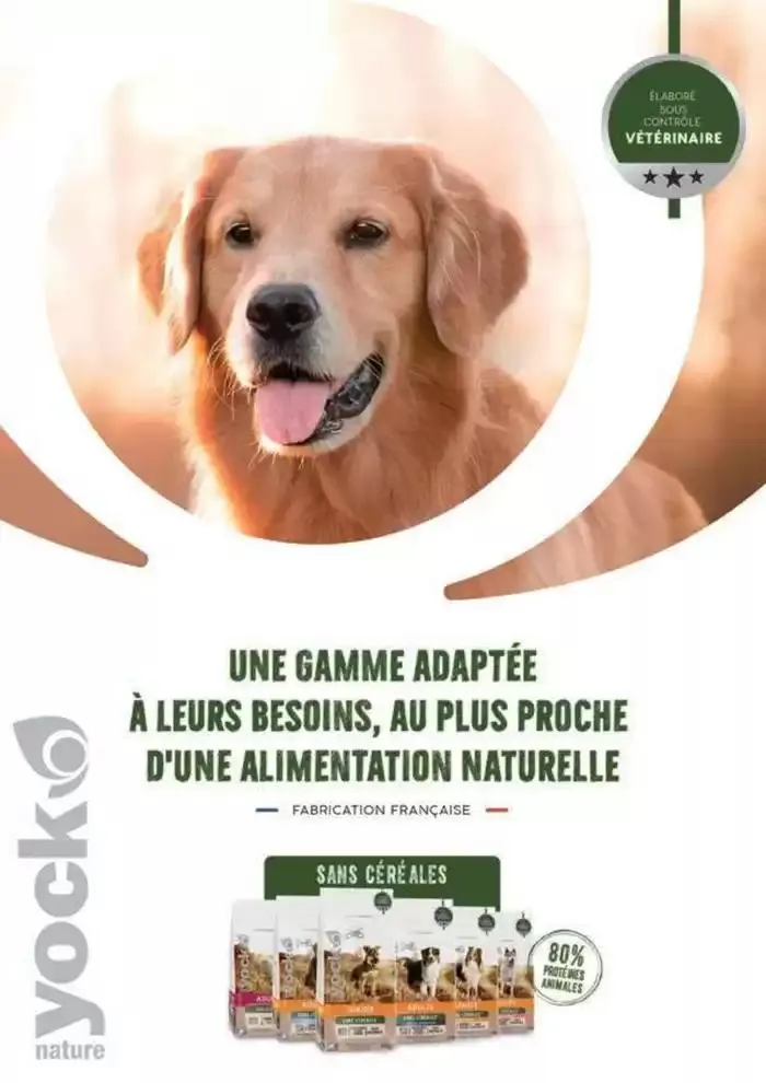 Le guide CHIENS & CHATS du 30 avril au 31 décembre 2025 - Catalogue page 44