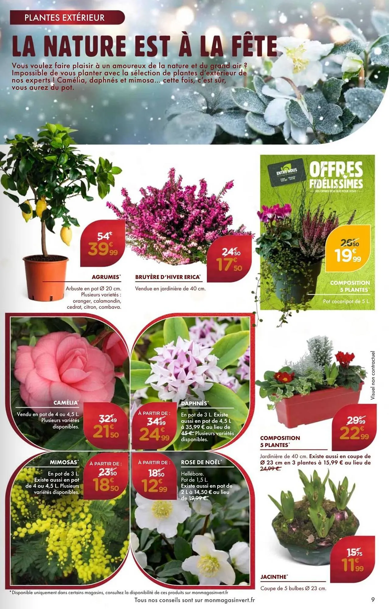 Catalogue Point Vert du 4 décembre au 4 janvier 2026 - Catalogue page 9