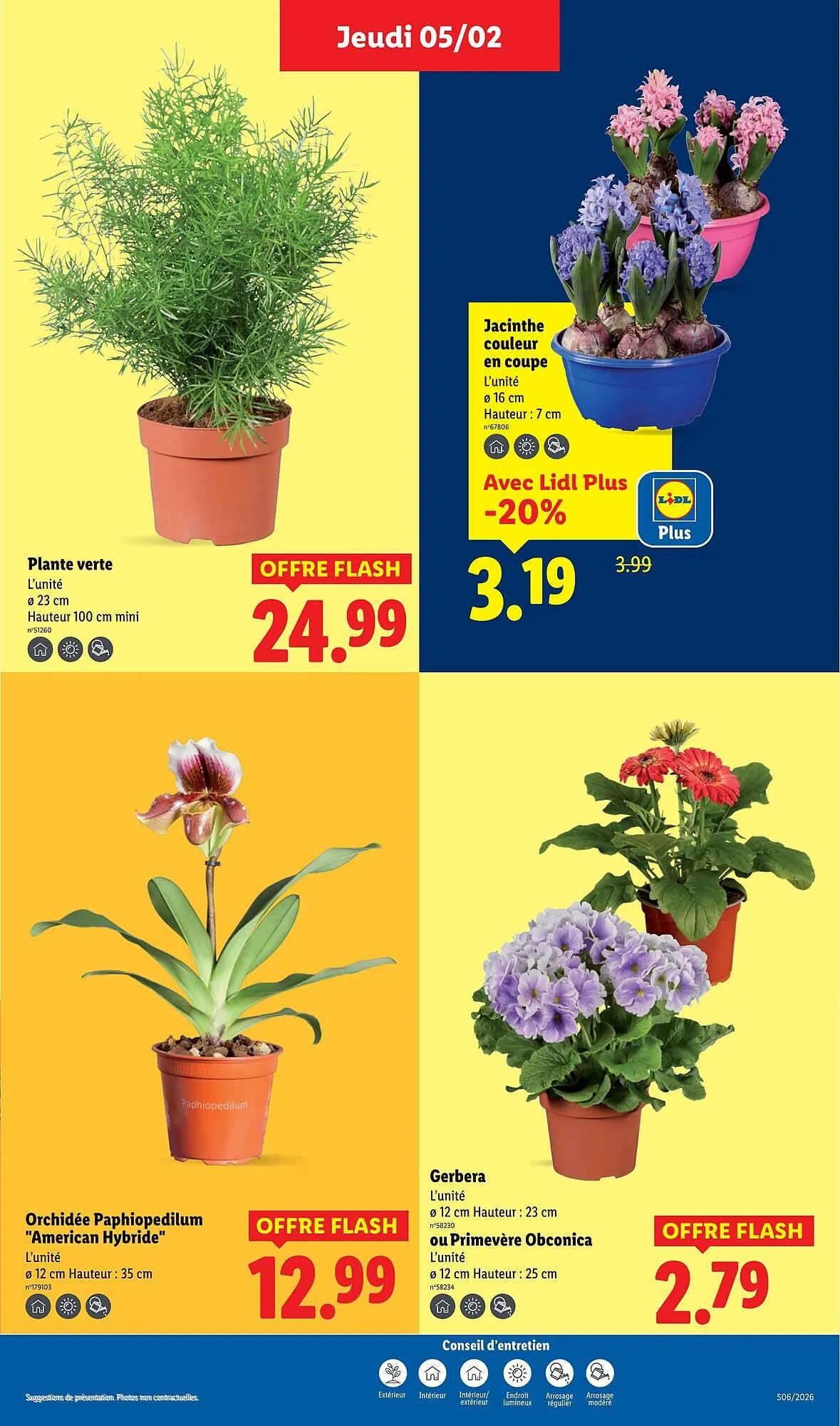 Catalogue Lidl du 5 février au 11 février 2026 - Catalogue page 31