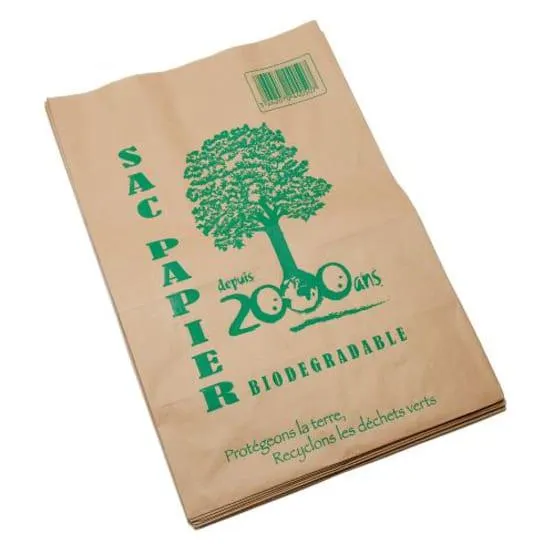 La Cordeline - Lot de 10 sacs en papier kraft 125 L