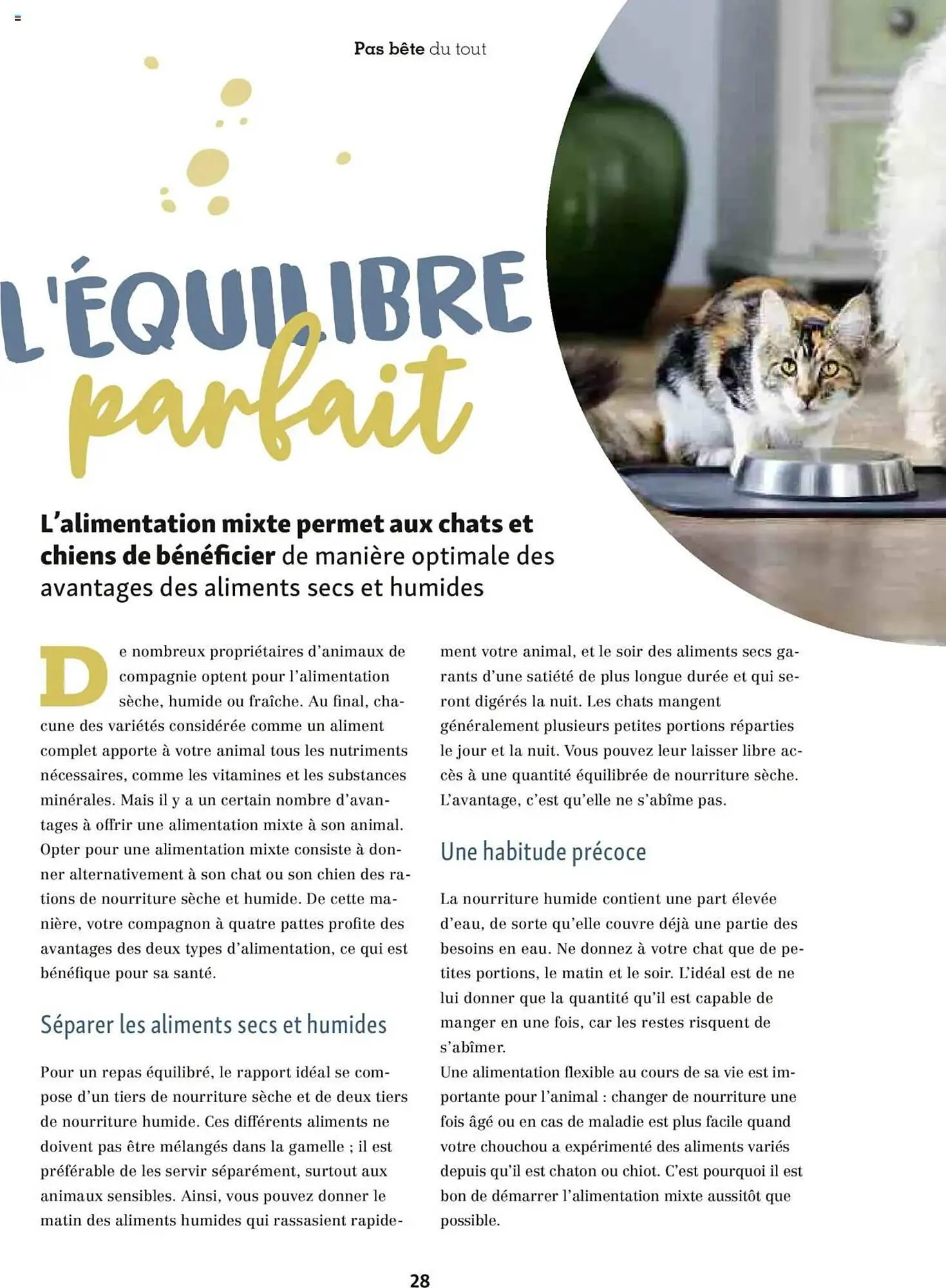 Catalogue Maxi Zoo du 1 octobre au 20 novembre 2025 - Catalogue page 28