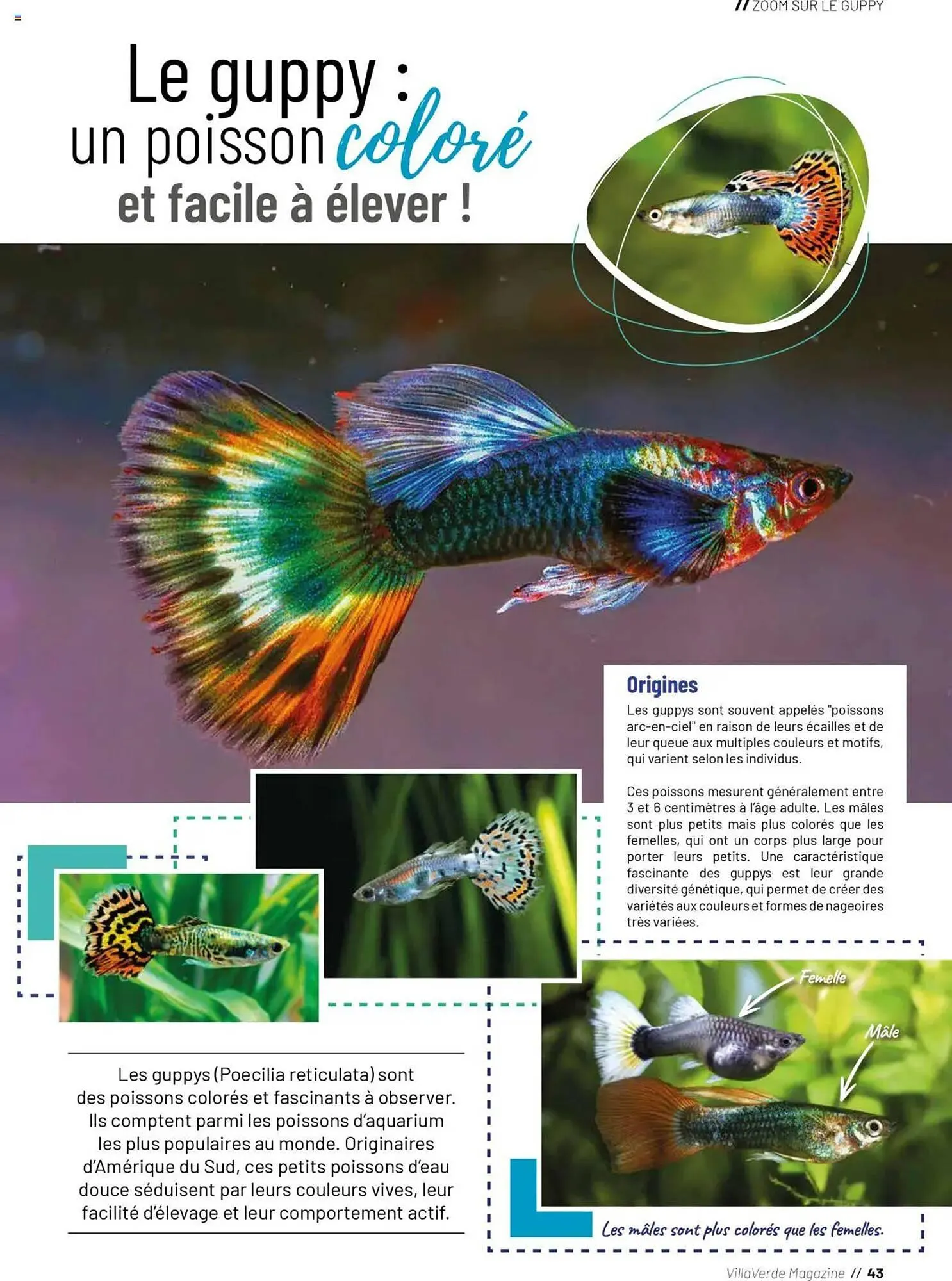 Catalogue VillaVerde du 20 mai au 1 janvier 2026 - Catalogue page 147