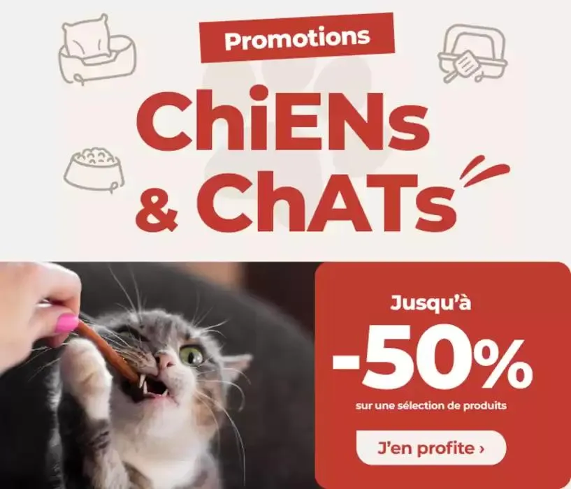 Promotions Chiens & Chats - 1