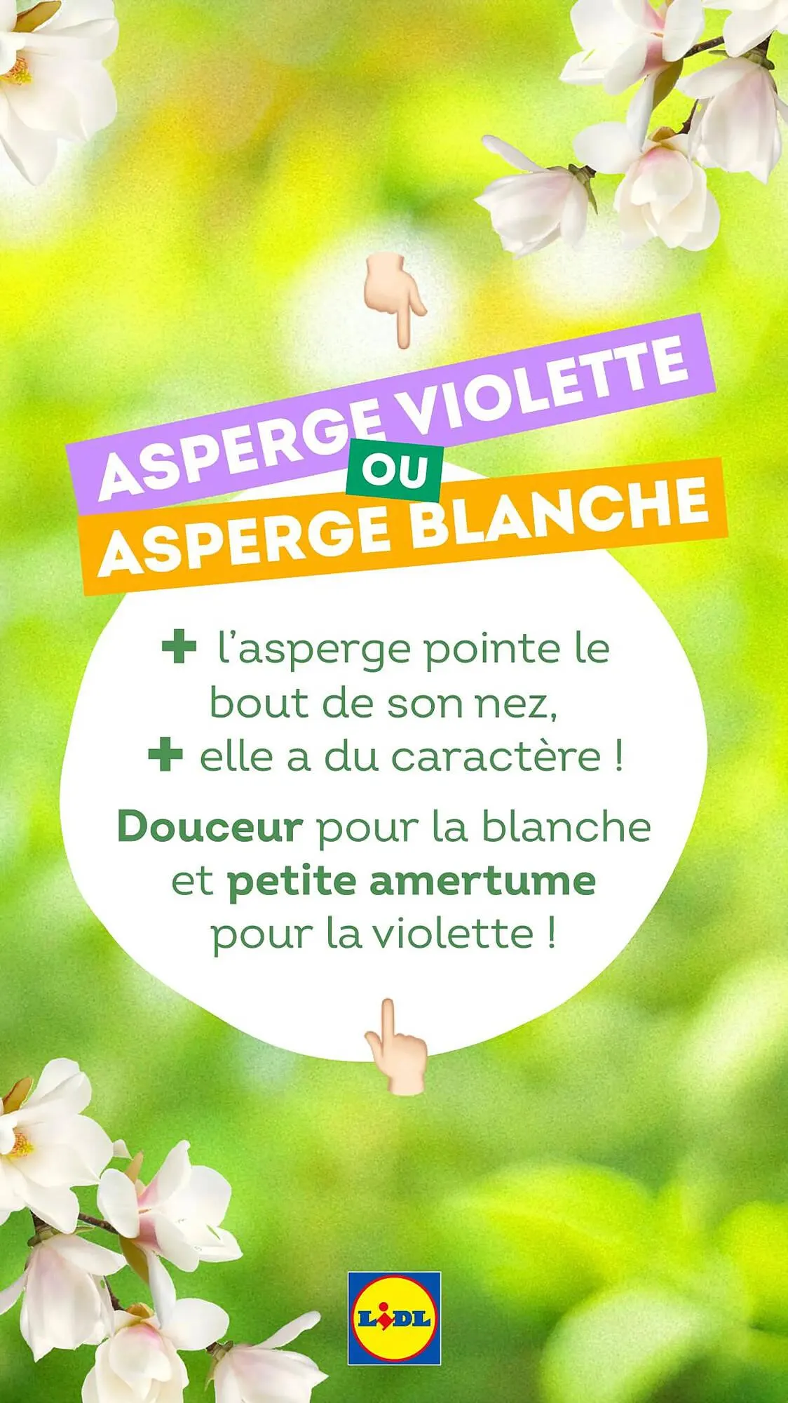 Catalogue Lidl du 13 mars au 27 avril 2025 - Catalogue page 15