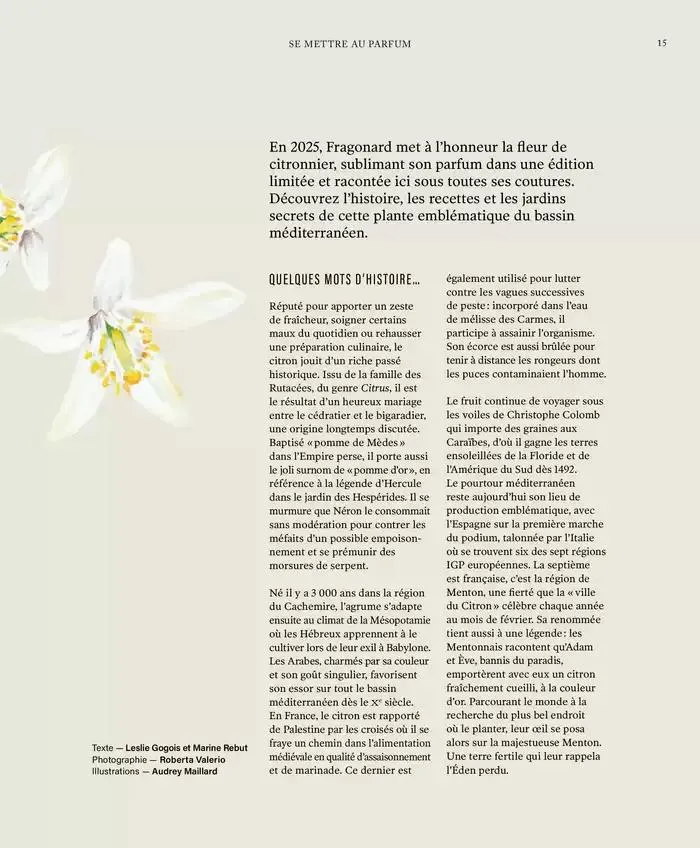 Printemps/Été 2025 du 17 mars au 23 septembre 2025 - Catalogue page 17