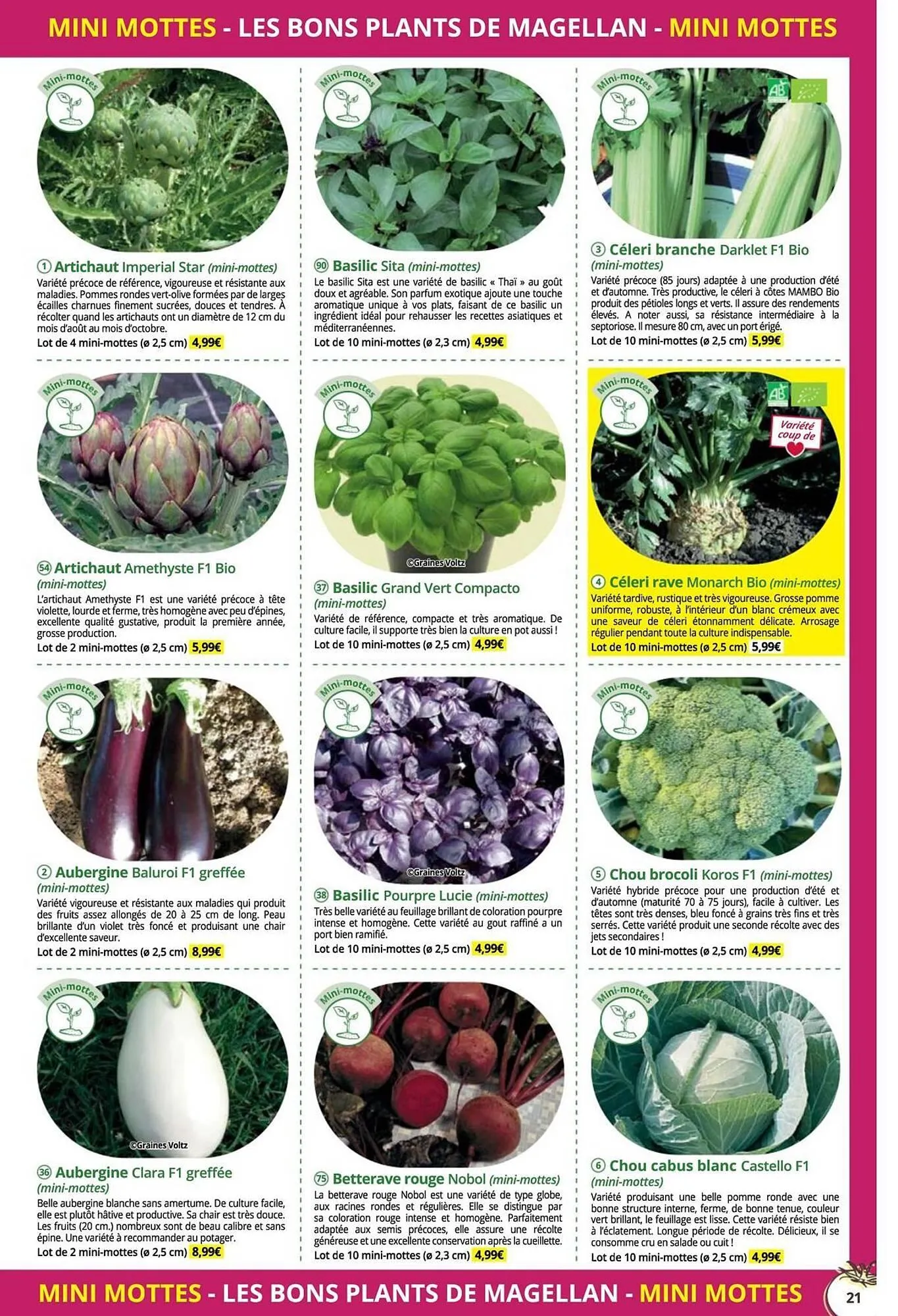 Catalogue Magellan du 16 décembre au 31 décembre 2025 - Catalogue page 21