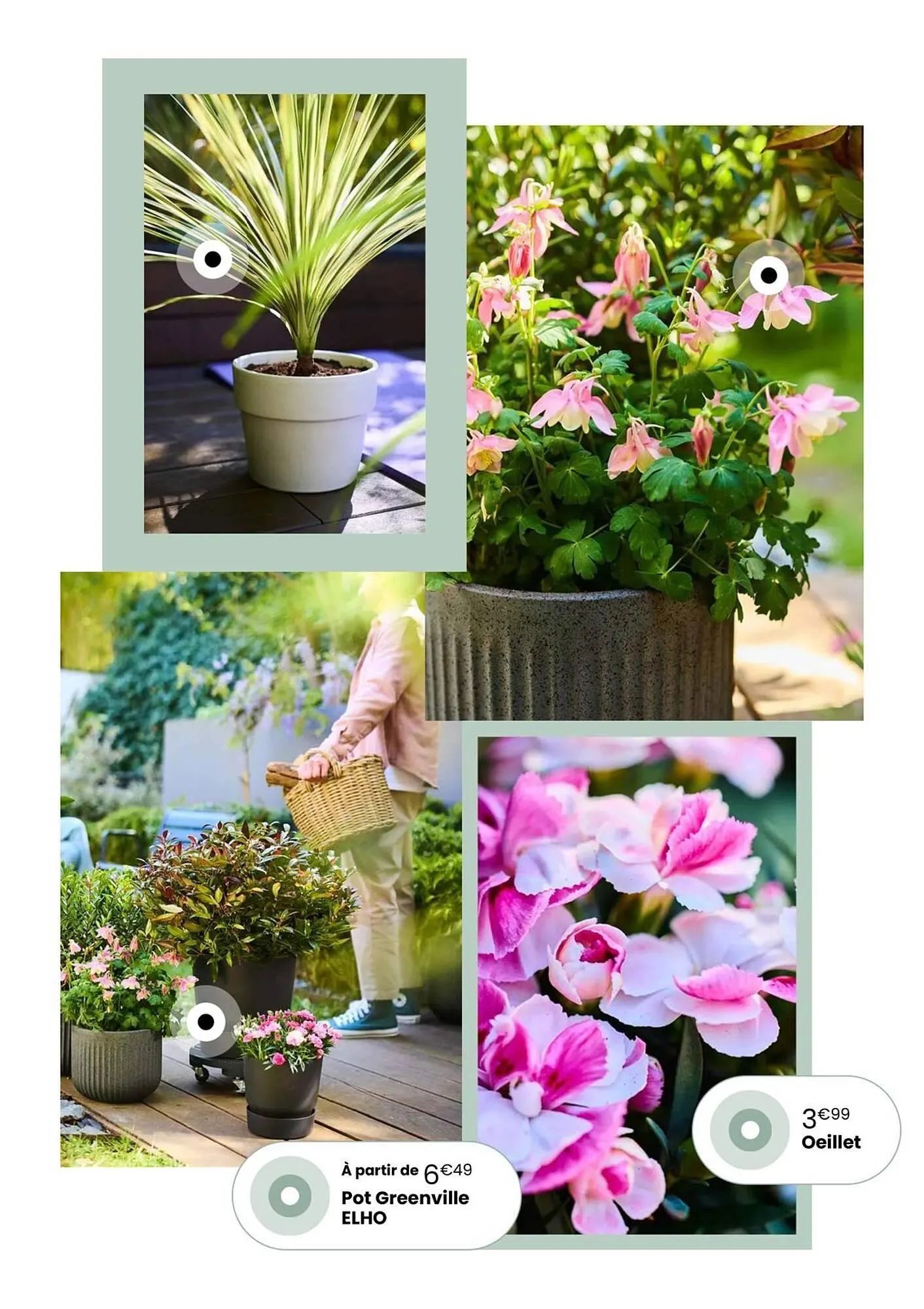 Catalogue Truffaut du 7 avril au 31 mai 2026 - Catalogue page 6