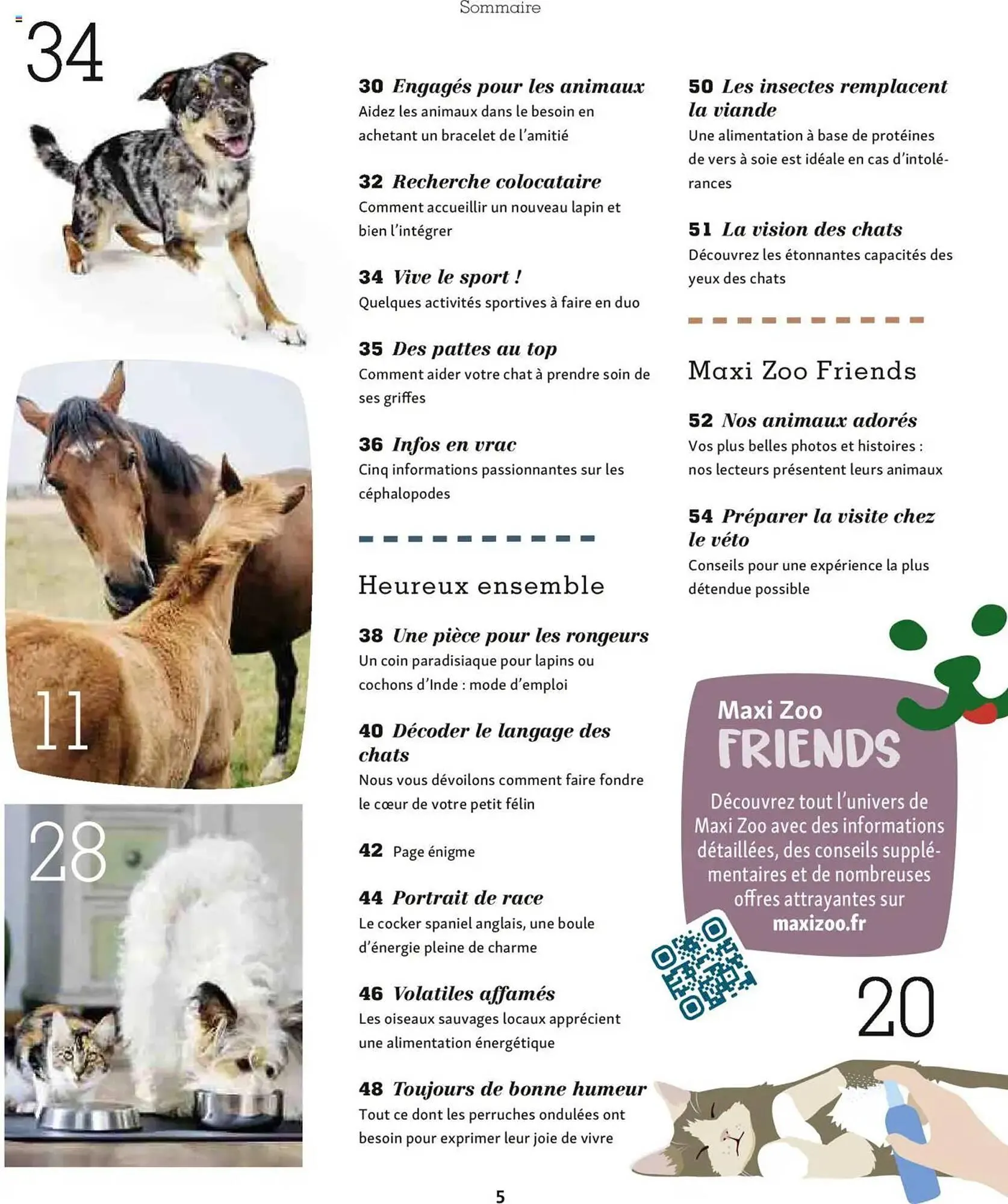 Catalogue Maxi Zoo du 1 octobre au 20 novembre 2025 - Catalogue page 5