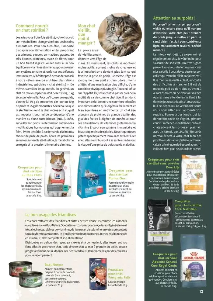 Le guide CHIENS & CHATS du 30 avril au 31 décembre 2025 - Catalogue page 13