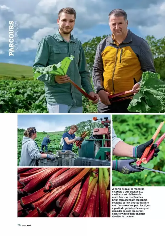 Printemps 2025 du 23 avril au 31 mai 2025 - Catalogue page 26