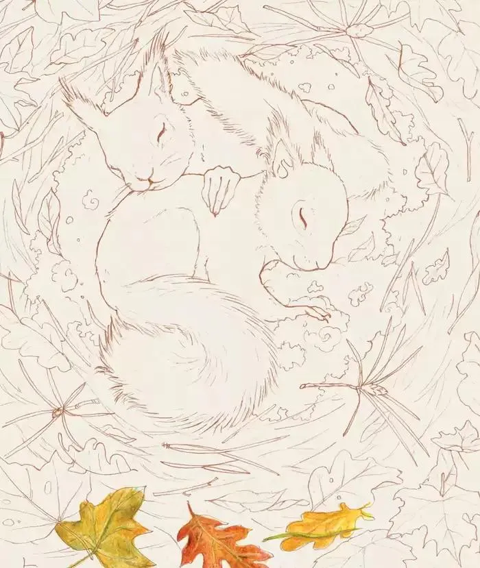 Le Jardin du Moulin 2025 du 1 janvier au 31 décembre 2025 - Catalogue page 2