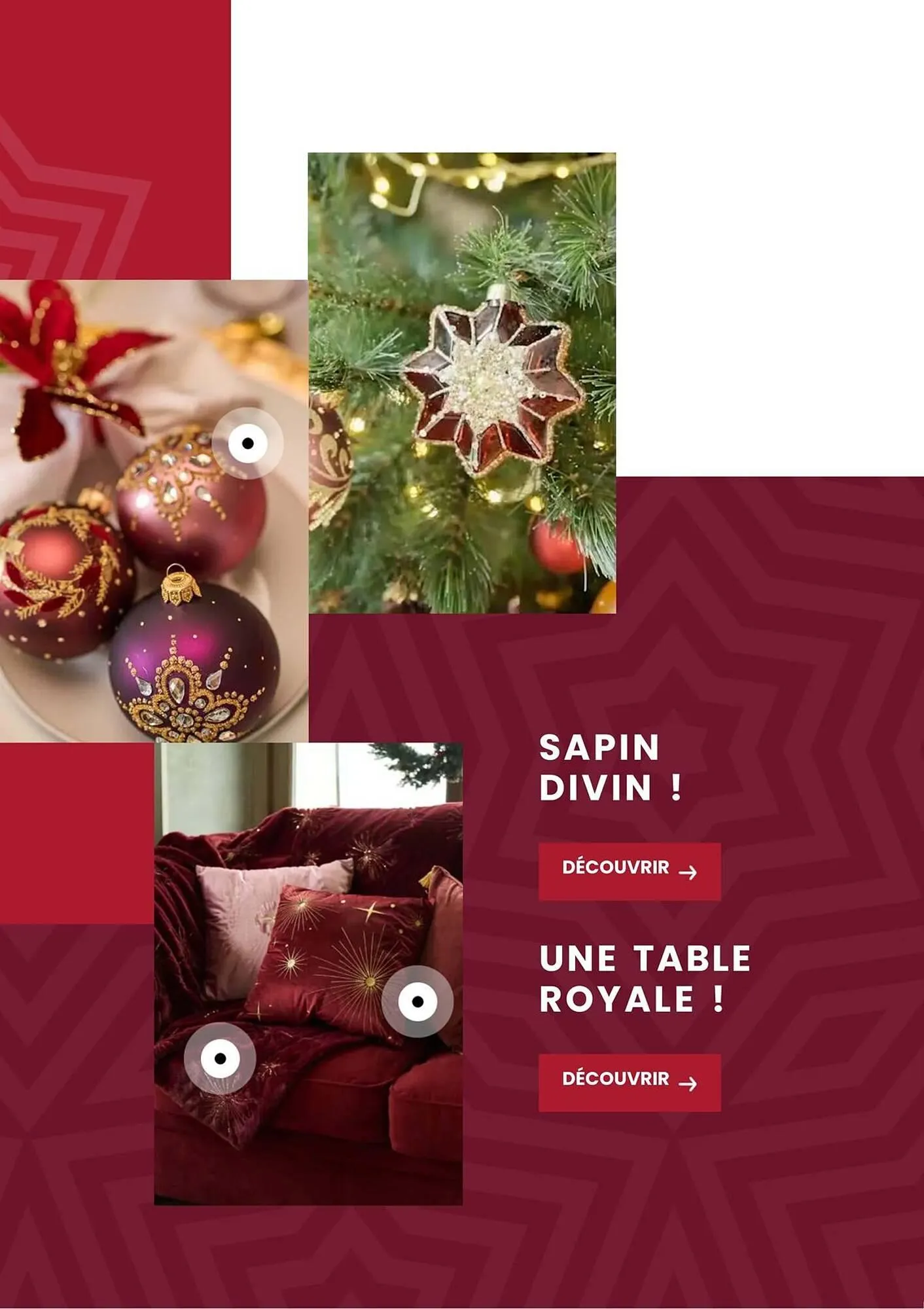 Catalogue Truffaut du 2 décembre au 31 décembre 2025 - Catalogue page 20