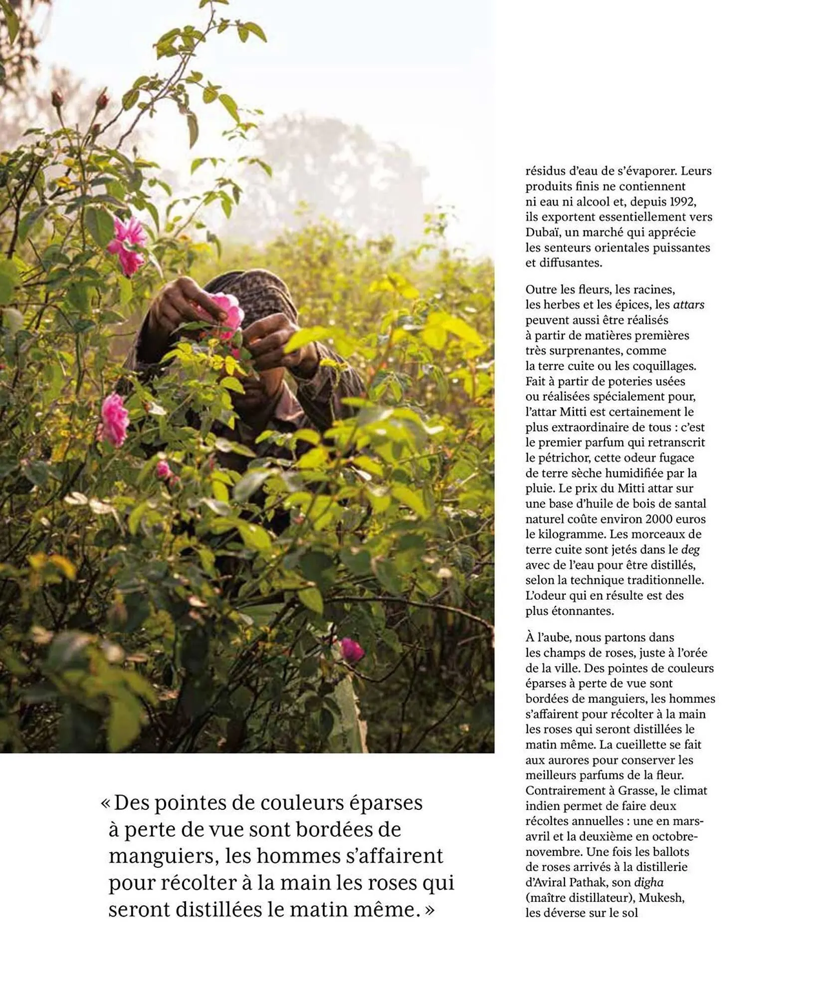 Catalogue Fragonard du 9 mars au 20 septembre 2026 - Catalogue page 142