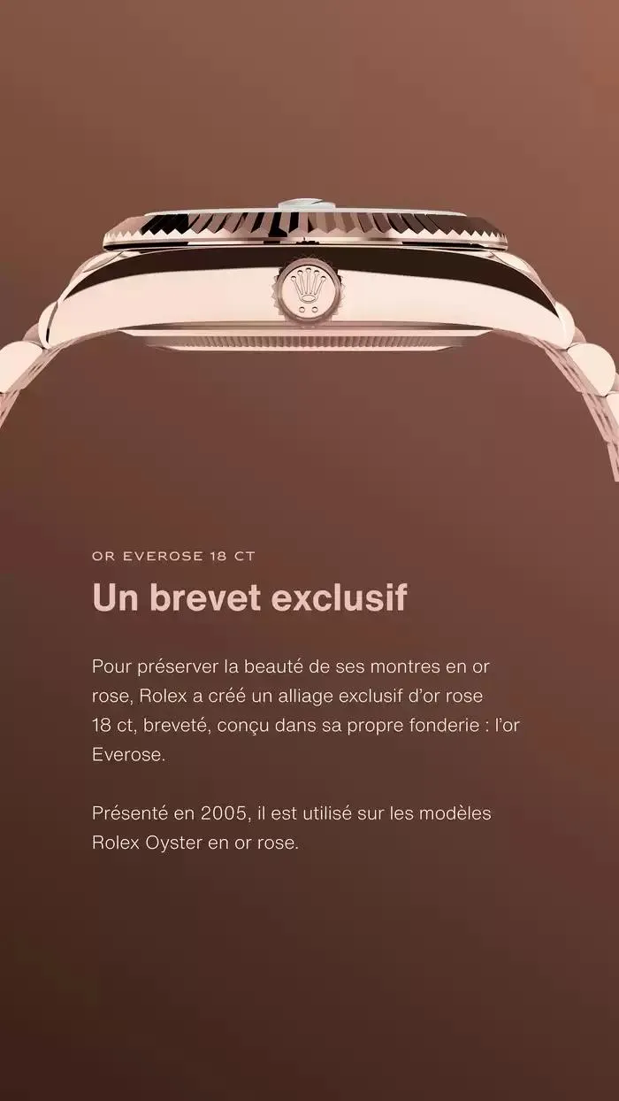 Rolex Sky Dweller du 13 décembre au 13 décembre 2025 - Catalogue page 7