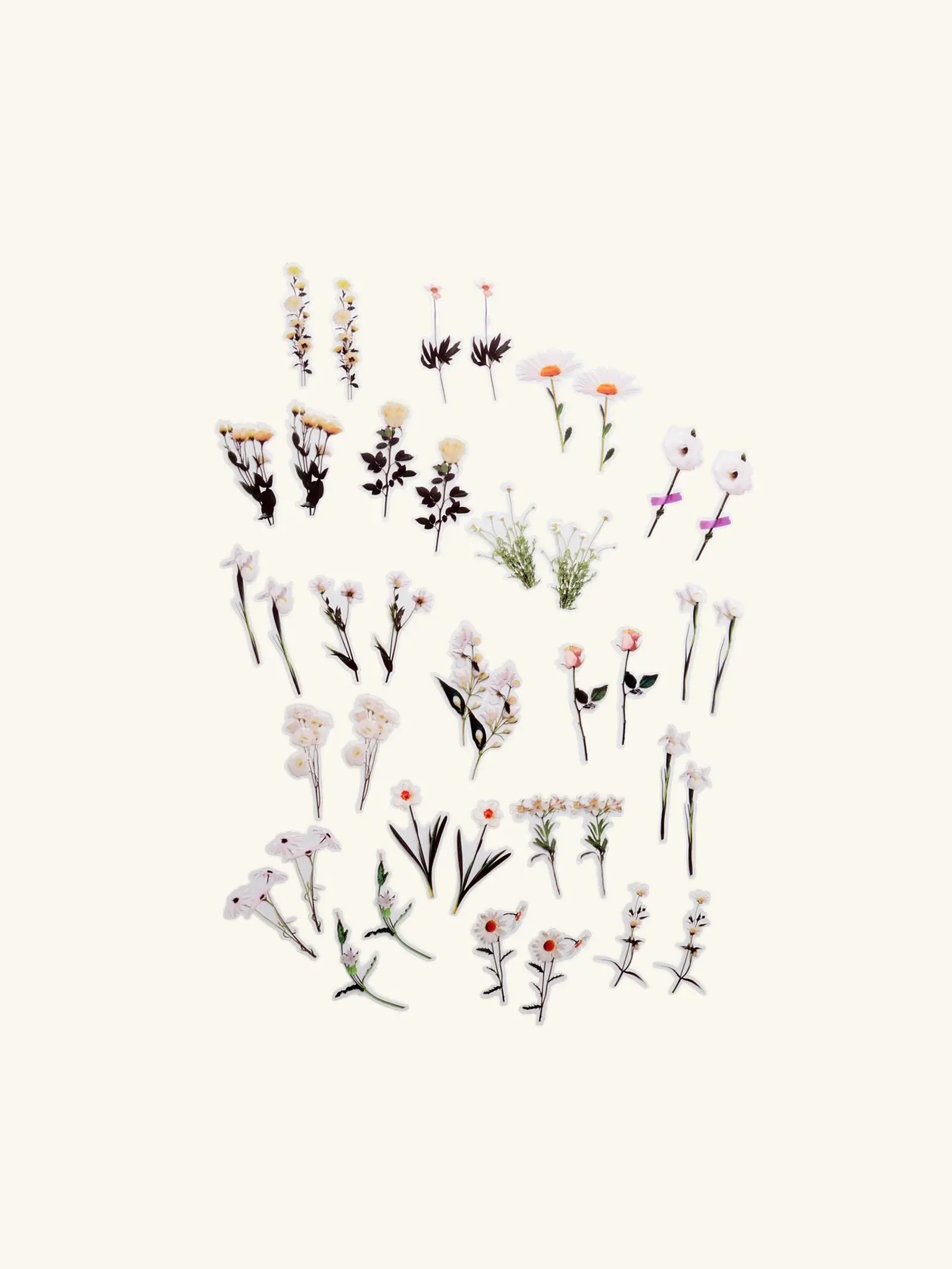 Autocollants botaniques