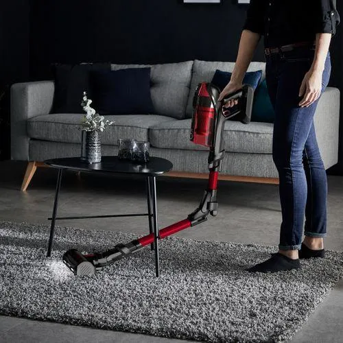 ROWENTA Aspirateur balai sans fil RH6472WO X-PERT 6.60 SMART