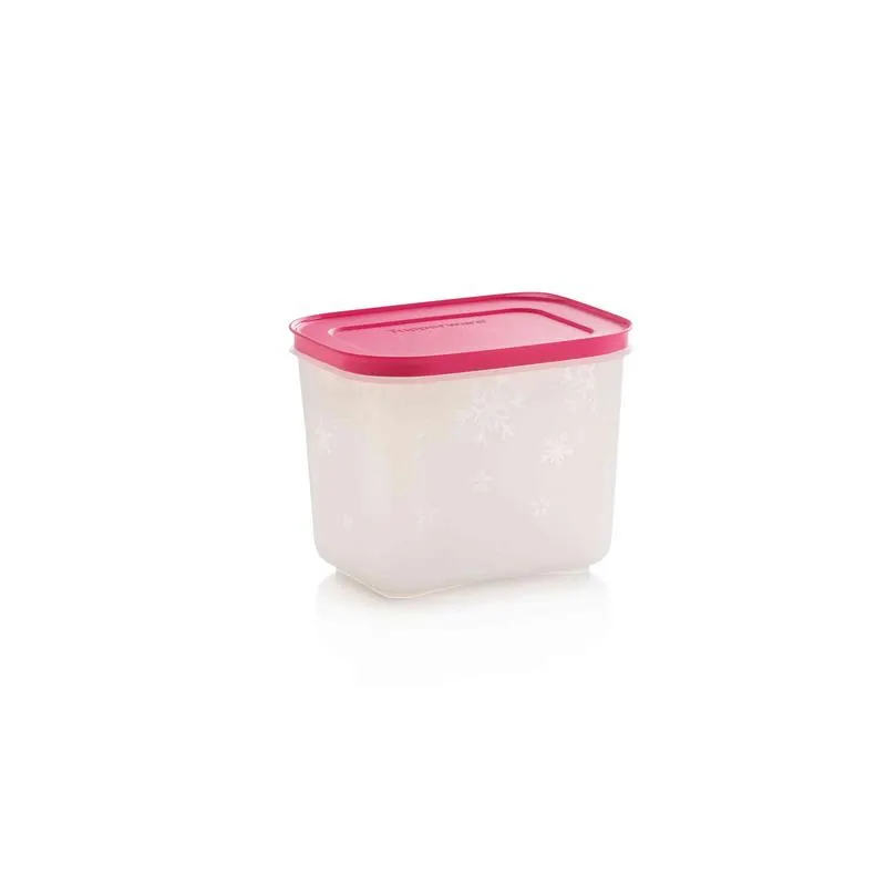 2 Boîtes de congélation 1,1 - Igloo