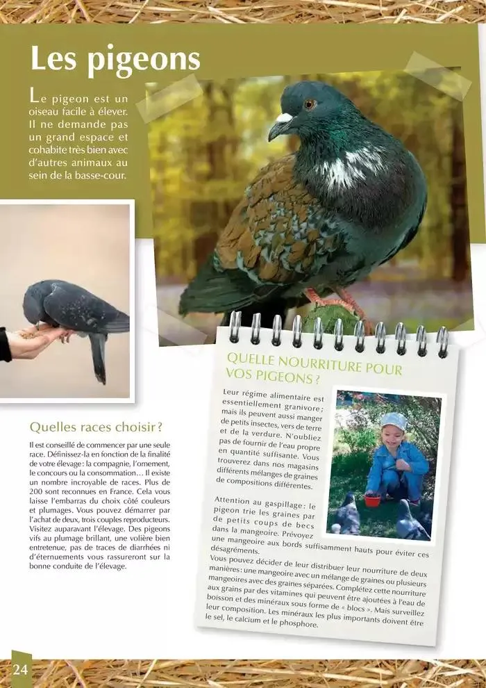 Le guide BASSE-COUR du 30 avril au 31 décembre 2025 - Catalogue page 24